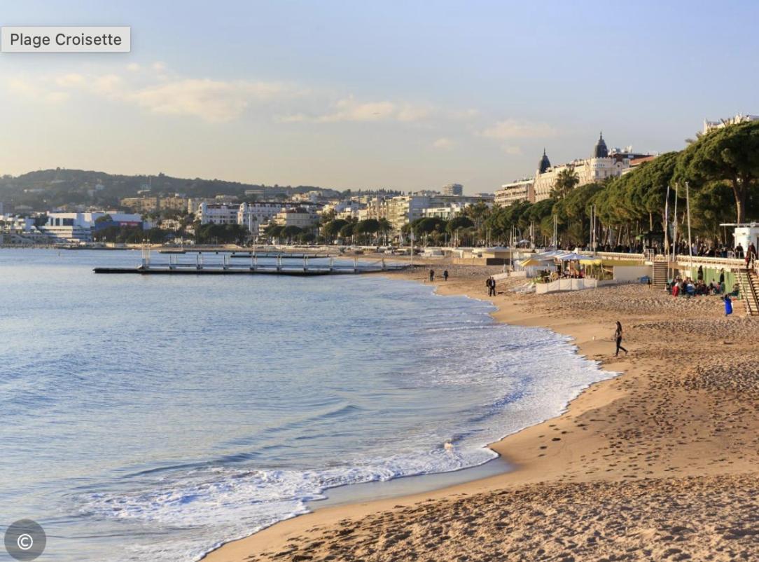 Apartment 6 Croisette Beaches Sea View And Palais Des Festivals *